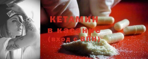 крисы Магас