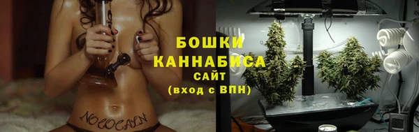 крисы Магас
