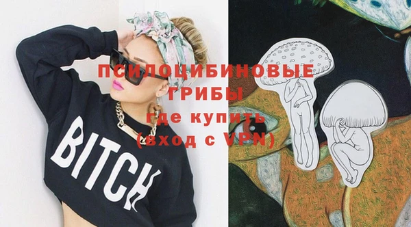spice Ладушкин