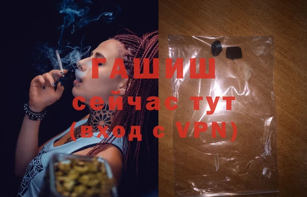 сатива Магадан