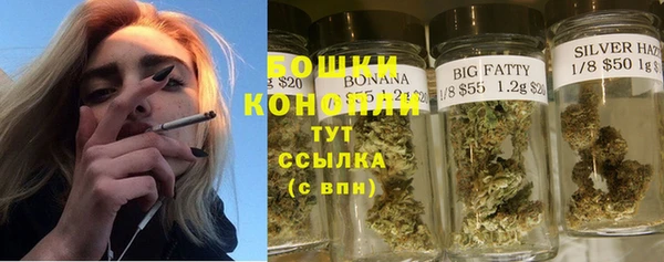 мдпв Лагань