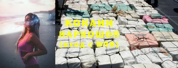 крисы Магас