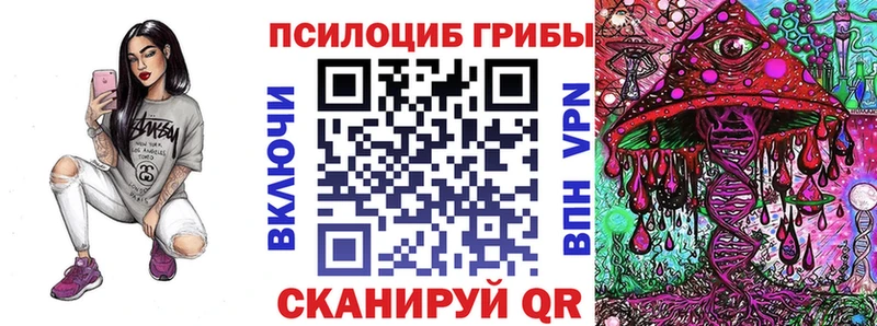 Псилоцибиновые грибы Cubensis  Сясьстрой 